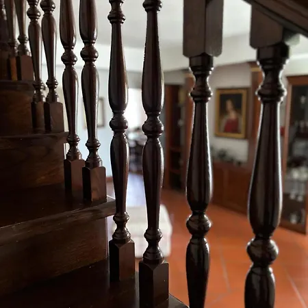 Villa Civetta Con Giardino In Esclusiva Tra Roma E I Castelli Romani Holiday home